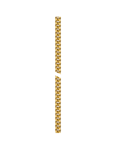 Orologio Tissot da tasca T83455313 savonnette gold quarzo svizzero