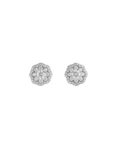 Orecchini Crivelli donna 000 3909NS oro